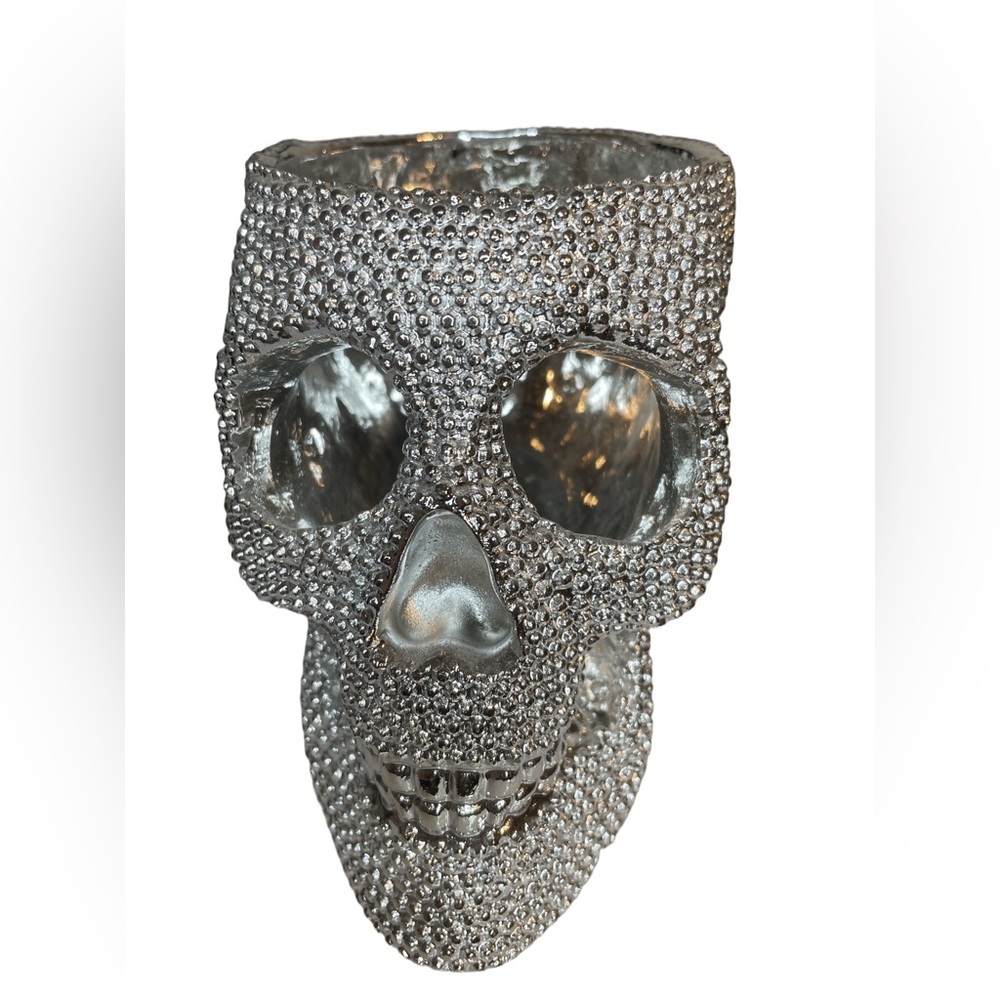 Skull Halloween NEW Decor home silver bling Makeup Vase organizer vanity
